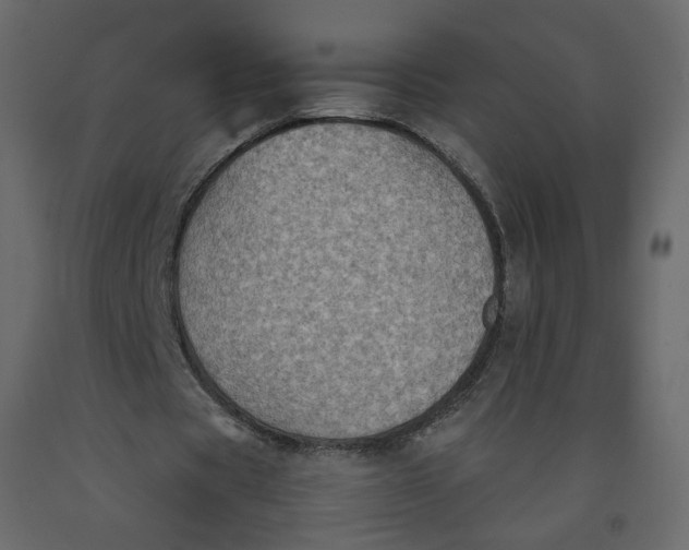X0000092220529200710051200