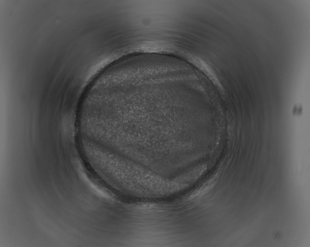 X0000092220530200710051200