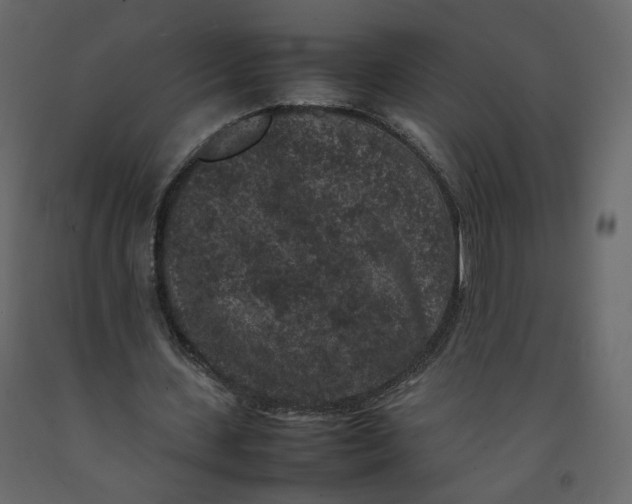 X0000092220531200710051200