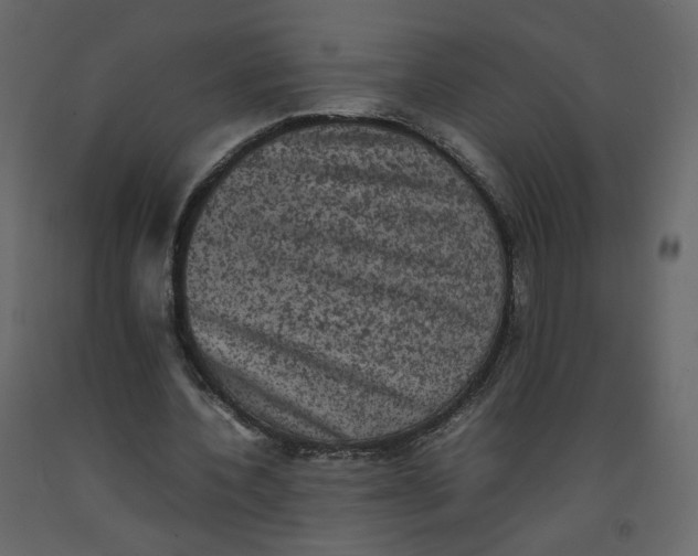 X0000092220532200710051200
