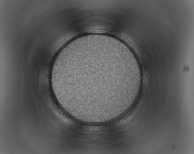 X0000092220533200710051200