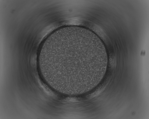 X0000092220534200710051200