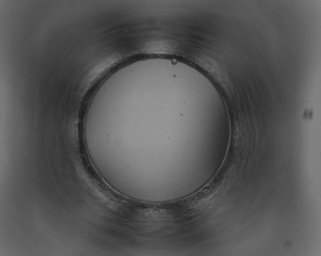 X0000092220535200710051200