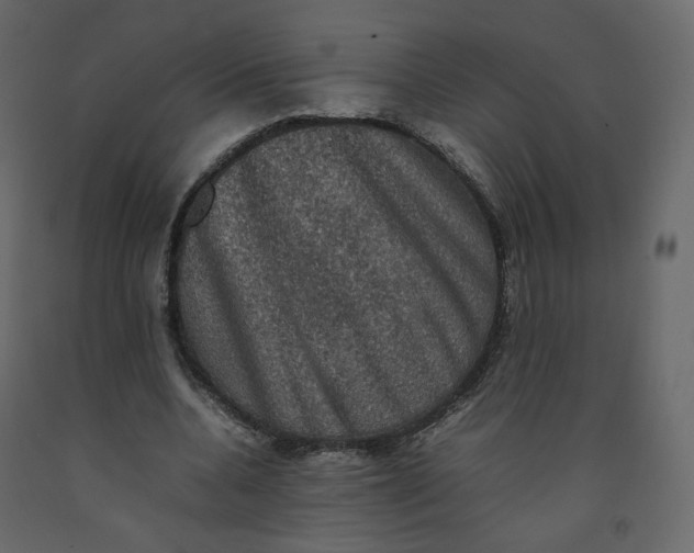 X0000092220536200710051200