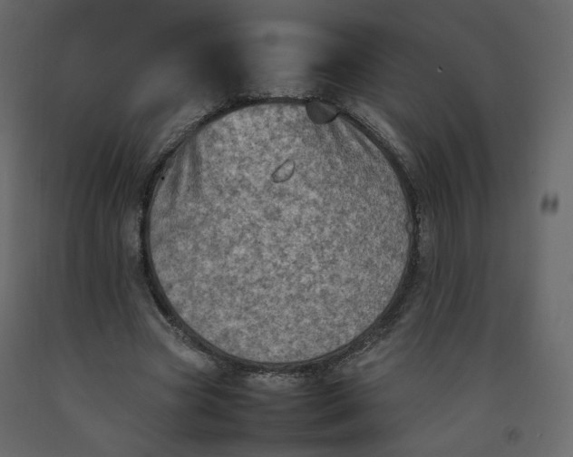 X0000092220537200710051200