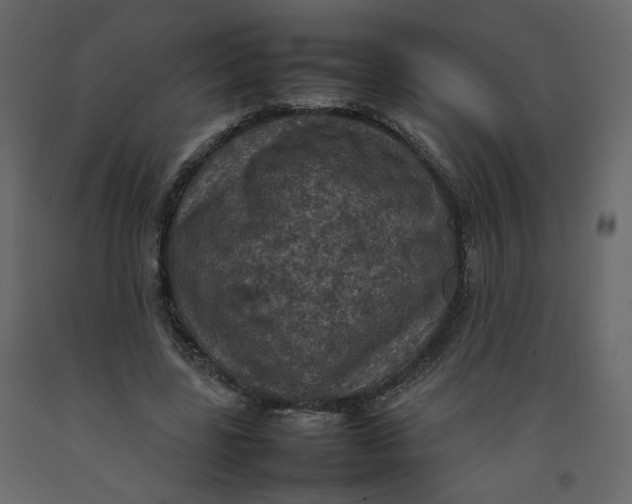 X0000092220539200710051200