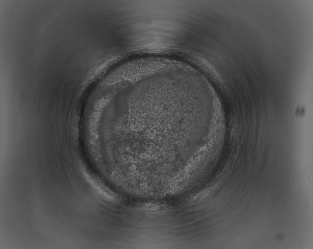 X0000092220542200710051200