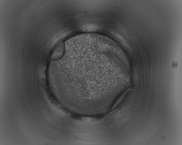 X0000092220543200710051200