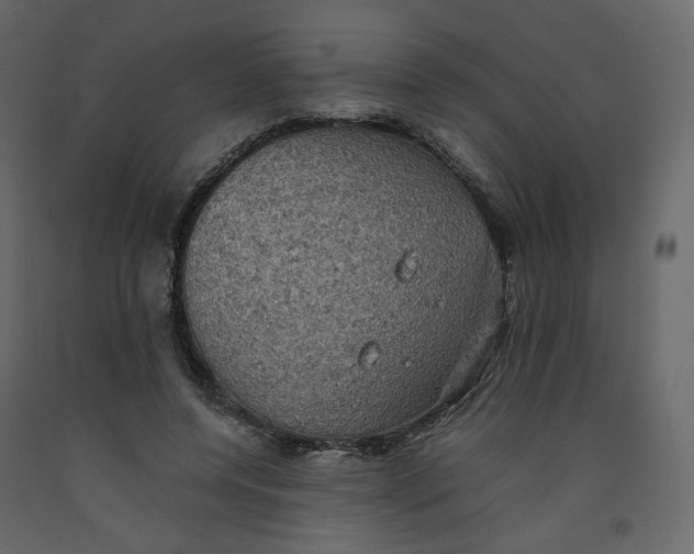 X0000092220544200710051201