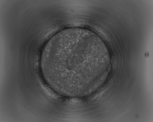 X0000092220546200710051201
