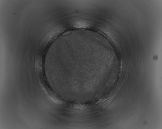 X0000092220547200710051201