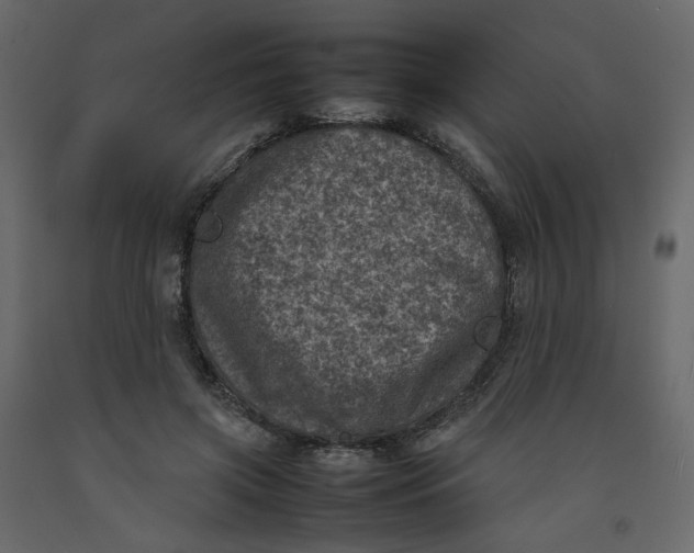 X0000092220549200710051201