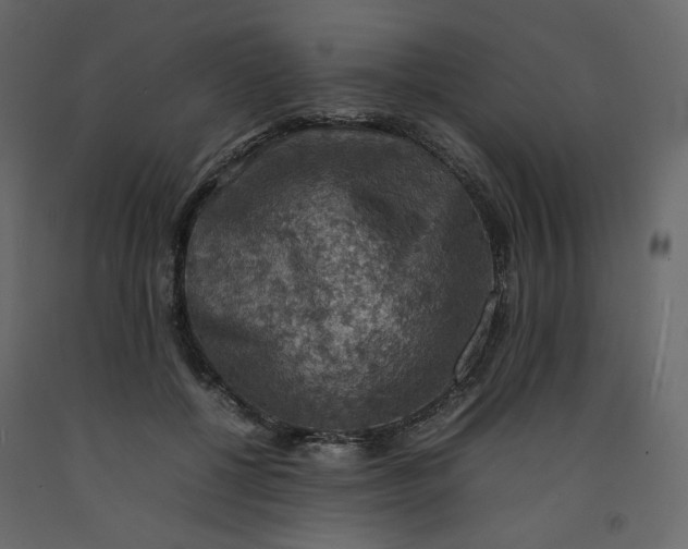 X0000092220552200710051201