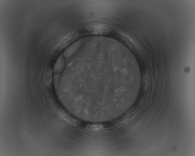 X0000092220554200710051201