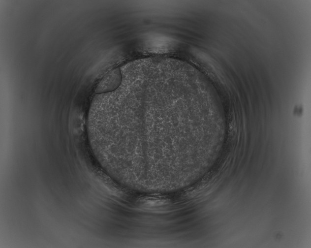 X0000092220555200710051201