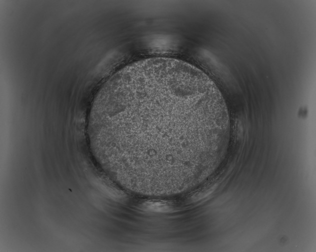 X0000092220557200710051201