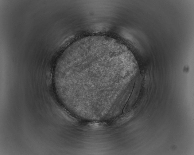 X0000092220558200710051201