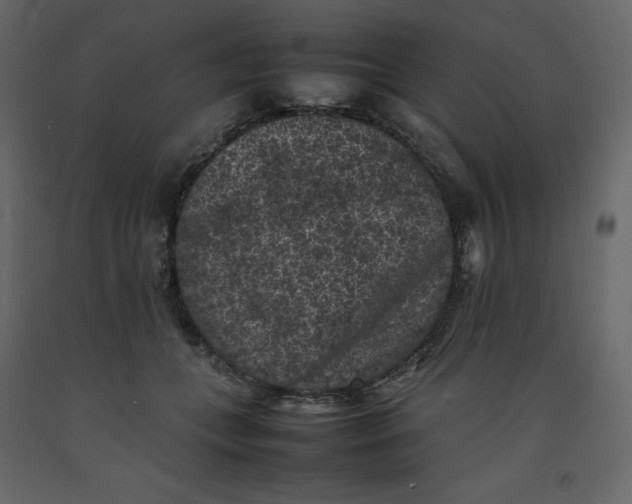 X0000092220559200710051201