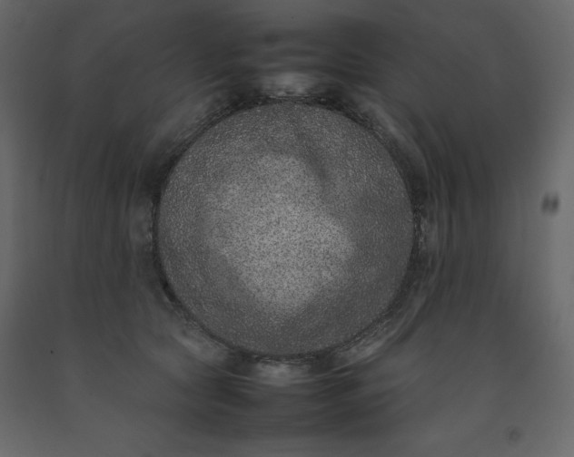 X0000092220561200710051201