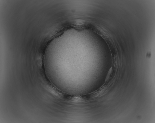 X0000092220562200710051201