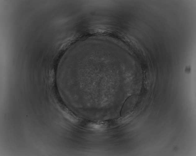 X0000092220563200710051201