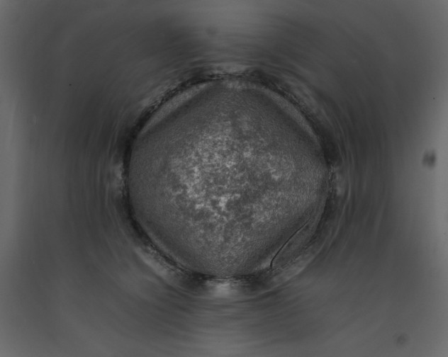 X0000092220564200710051201