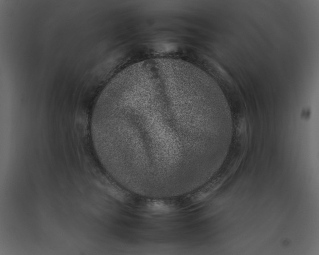 X0000092220565200710051201