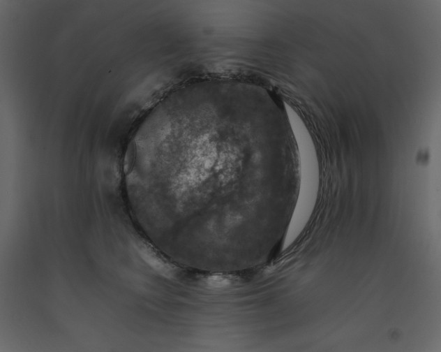 X0000092220566200710051201