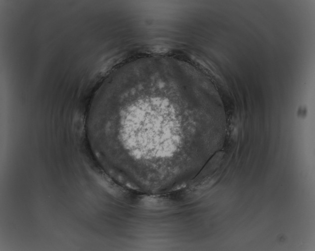 X0000092220568200710051201