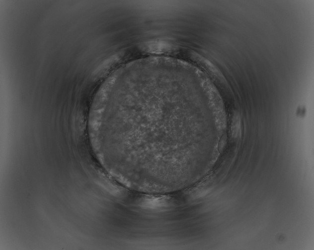 X0000092220569200710051201