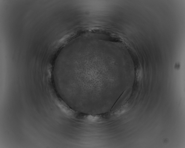 X0000092220570200710051201