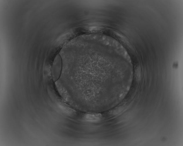 X0000092220571200710051201