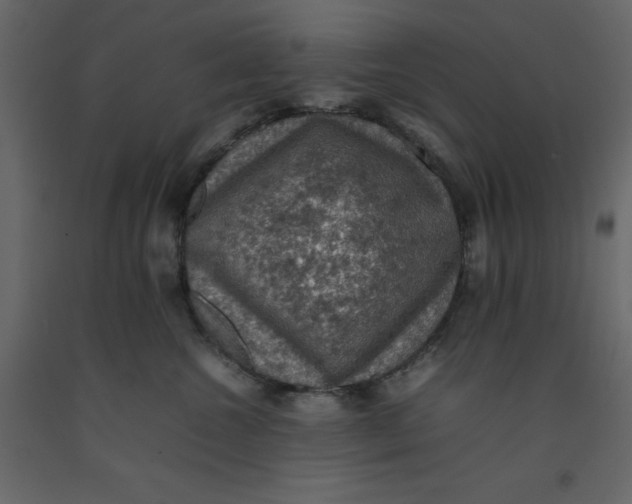 X0000092220572200710051201