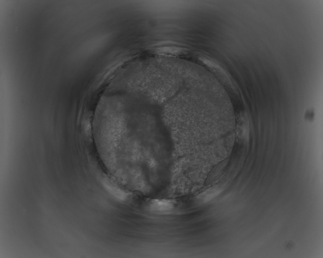 X0000092220573200710051201