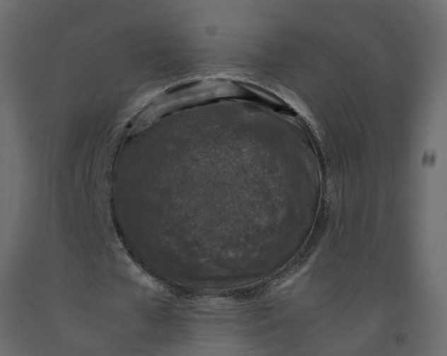 X0000092220577200710051200