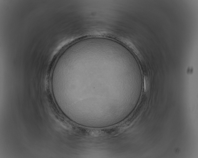 X0000092220579200710051200