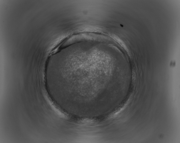 X0000092220581200710051200