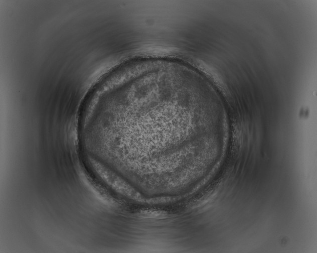 X0000092220582200710051200