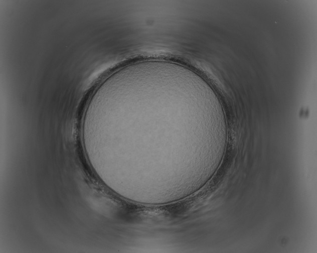 X0000092220583200710051200