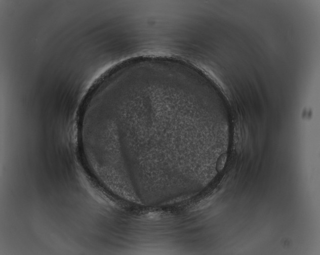 X0000092220584200710051200