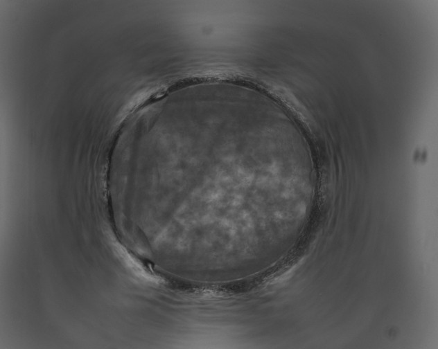 X0000092220585200710051200
