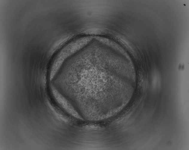 X0000092220586200710051200