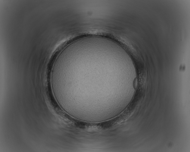 X0000092220587200710051200