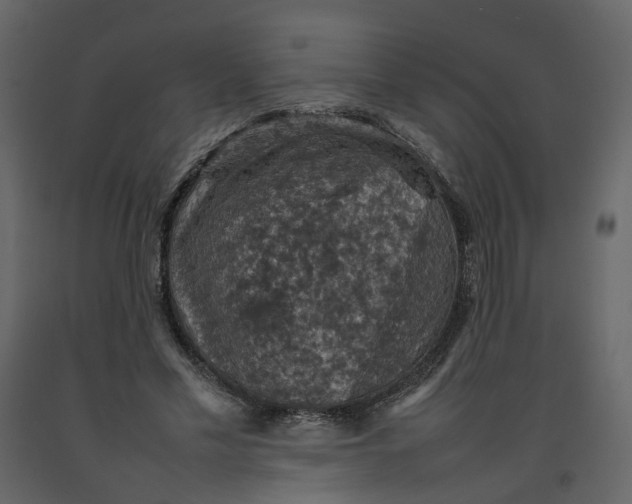 X0000092220589200710051200