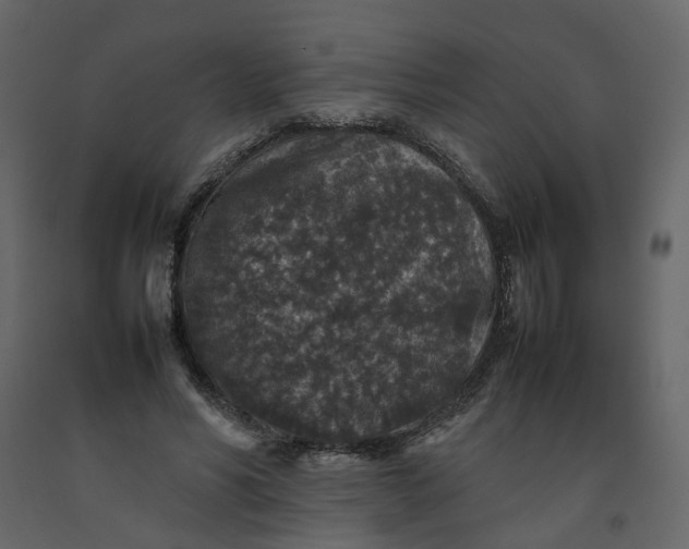 X0000092220590200710051200