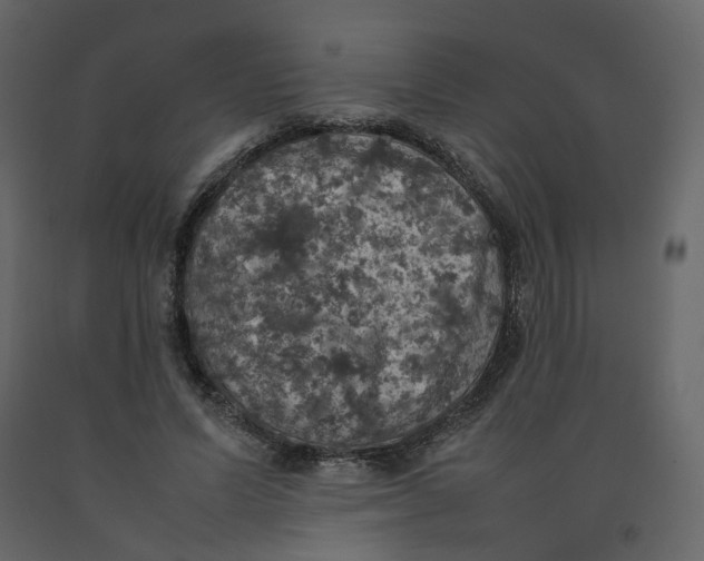 X0000092220591200710051200