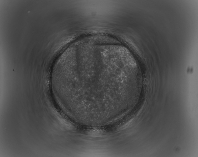 X0000092220593200710051200