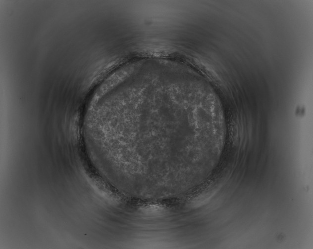 X0000092220594200710051200