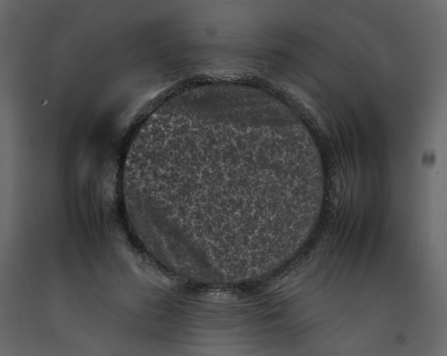 X0000092220596200710051200