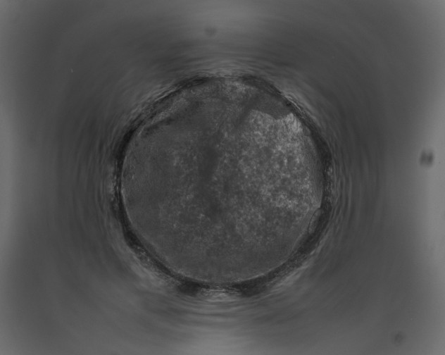 X0000092220597200710051200